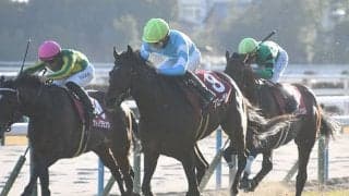 【日経新春杯結果】ブローザホーンが人気に応え重賞初制覇