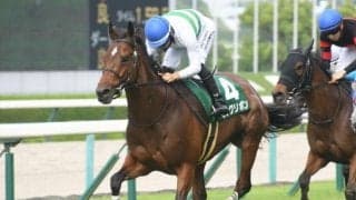 菊花賞馬キセキの全妹ビッグリボンが引退 下河辺牧場で繁殖入り