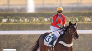 【新馬/京都3R】武豊 ディスタントスカイが断然の支持に応える