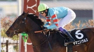 【雅S】武豊ヤマニンウルスが無傷の4連勝でオープン入り