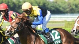 AJCC・東海Sの2重賞、地方ではブルーバードC/今週の競馬界の見どころ