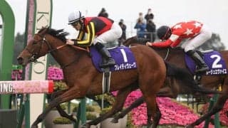 ブレイディヴェーグはドバイターフへ…鞍上はC.ルメール騎手