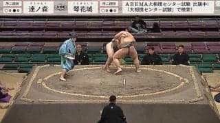 19歳の191センチ巨漢力士、“しょんぼり”な後ろ姿 落胆ぶりを物語る大きな背中に励ましの声