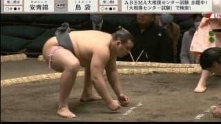 19歳イケメン力士に客席から声援続々 電車道で押し切る強い相撲に大興奮「安青錦！つよー！」