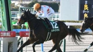 【愛知杯】売上は38億2379万8800円で昨年より約13億円の大幅減