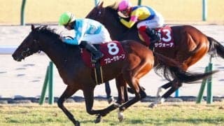 【日経新春杯】ブローザホーンが重賞初制覇