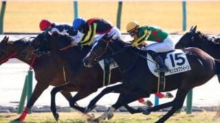 【新馬/京都5R】良血ミエスペランサが接戦を制する