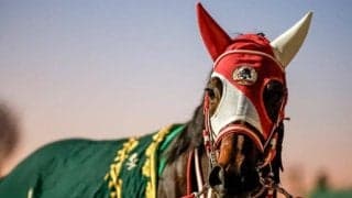 【先週のJRA抹消馬】大逃げ戦法で世界のビッグレースを制したパンサラッサ、22年のJBCレディスCを勝利したヴァレーデラルナなど