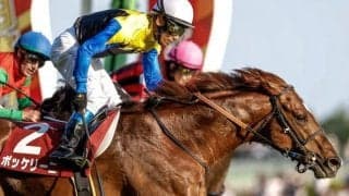 【AI予想・AJCC】特殊な条件下で行われる伝統の一戦！ 中山芝2200mに十分な適性を感じる本命候補