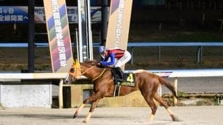 【金沢競馬】ハクサンアマゾネスが年度代表馬に選出