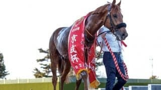 エピファネイア産駒の中では“異質”なダノンデサイル 京成杯で生きた血統的な特徴とは