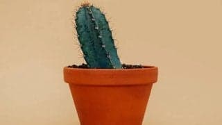 月経前緊張症（PMS）のセルフチェック