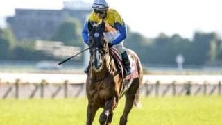 【AJCC展望】好走条件揃い、実績上位のボッケリーニが中心