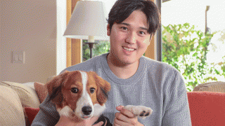 爆速発売の大谷愛犬Tシャツ　日本でも“即入荷”…見逃せぬ話題「アンテナ張らないと」