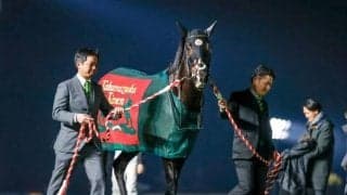 今でも血統表内で存在感放つ凱旋門賞馬モンジュー 彼が現代にもたらす能力と気性面の課題