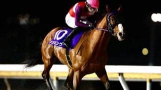 【船橋・報知グランプリC枠順】船橋巧者ギガキングは7枠8番、13歳の古豪リッカルドは5枠5番