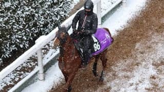 シヴァースなど、先週の入厩情報/栗東トレセンニュース