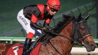 ダートで一変のヴィクティファルス 東海Sで史上9頭目の記録に挑戦