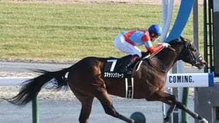 武豊騎手3度目の東海S勝利なるか 2年3か月ぶりタッグの伏兵で一発狙う