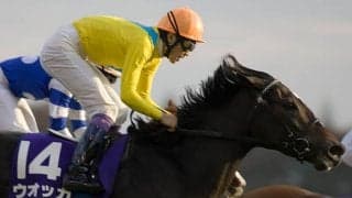 20世紀最後の大一番に競馬史残る大接戦 \"平成はじまって35年\"で聞いた名レースとは？