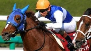 名牝ダイワスカーレットが繁殖引退 11番仔で唯一の牡馬が最後の産駒に