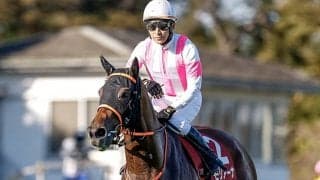 メジロモントレー以来33年ぶりの牝馬Vへ AJCCに紫苑S覇者モリアーナ参戦