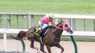 【東海S予想オッズ】オメガギネスが予想1番人気