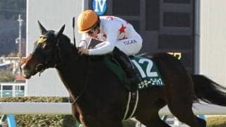 【愛知杯】川田「師匠と共に獲れる最後の重賞チャンス」ミッキーゴージャスが3連勝で重賞初制覇