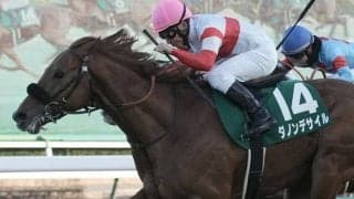 【京成杯】横山典「伸び伸びと良くなっている」ダノンデサイルが重賞初制覇