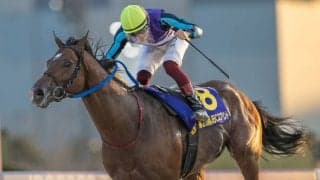 【地方競馬】地方年度代表馬は2年連続イグナイター…NARグランプリ2023