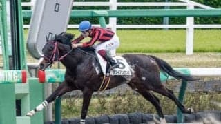 【東海S展望】連勝で勢い十分の4歳馬ブライアンセンスに注目