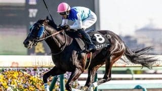 冠名「アドマイヤ」3年半ぶりのJRA重賞Vへ 迎春S制した6歳馬がAJCCに参戦