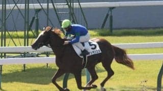 【船橋・ブルーバードC注目馬】いよいよ動き出すダート三冠戦線 “登竜門”を制すのはどの馬か