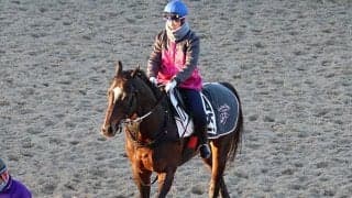 トゥラヴェスーラなど、シルクロードS1週前追い切り速報/栗東トレセンニュース