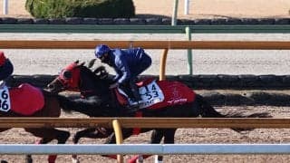 ドライスタウトなど、根岸S1週前追い切り速報/栗東トレセンニュース