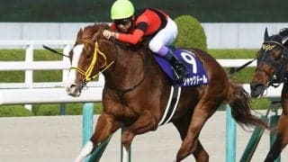 ジャックドールに右前浅屈腱炎が判明 9カ月以上の休養を要する見込み