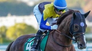 史上初の8歳馬Vあるか!? AJCCに実力派のベテランそろう