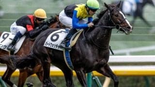 三冠牝馬の仔バードウォッチャーはフリージア賞へ 名繁殖の仔ミラビリスマジックは桜花賞が大目標