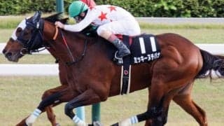 砂の良血が東海Sで重賞初挑戦 ニキーヤ系に久々のタイトルもたらすか