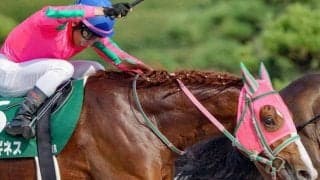 ロゴタイプ産駒のJRA重賞初制覇なるか 東海Sに4戦3勝の砂の新星が参戦