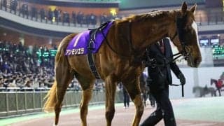 【船橋・ブルーバードカップ】紅一点・アンモシエラがゴール前の接戦を制する