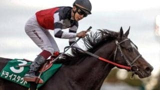 【根岸S想定】ドライスタウト、シャマルなど18頭