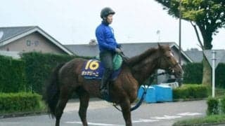 【AJCC予想】穴党寄りのAIが指名したのは意外にも人気馬 実績豊富な8歳古豪が馬券の中心になる？