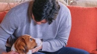 大谷翔平の“飼い犬”が回す経済「いくら稼ぐつもりだ」　新作デコピンシャツが大注目
