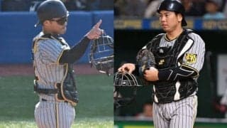 梅野と坂本は今季も併用か　阪神の“正捕手論”に高木豊氏は「2人がいて阪神のキャッチャーは成立する」と指摘