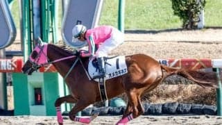 【東海S出走馬・騎手確定】オメガギネス＆戸崎圭太騎手、ウィリアムバローズ＆坂井瑠星騎手など16頭