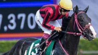 ホッコータルマエ産駒のJRA重賞初制覇なるか 東海Sに複勝率100％の堅実派が参戦