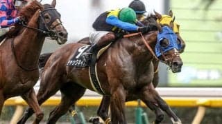 明け6歳で本格化ムード！ 伸び盛りのハーツクライ産駒がAJCCで初タイトル獲得なるか