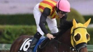 JRAに限れば5戦連続で上がり最速 末脚自慢が東海Sで重賞初Vだ