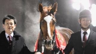 ブルーバードCを制しても羽田盃出走は確実ではない？ アンモシエラに見る3歳馬今年のローテ